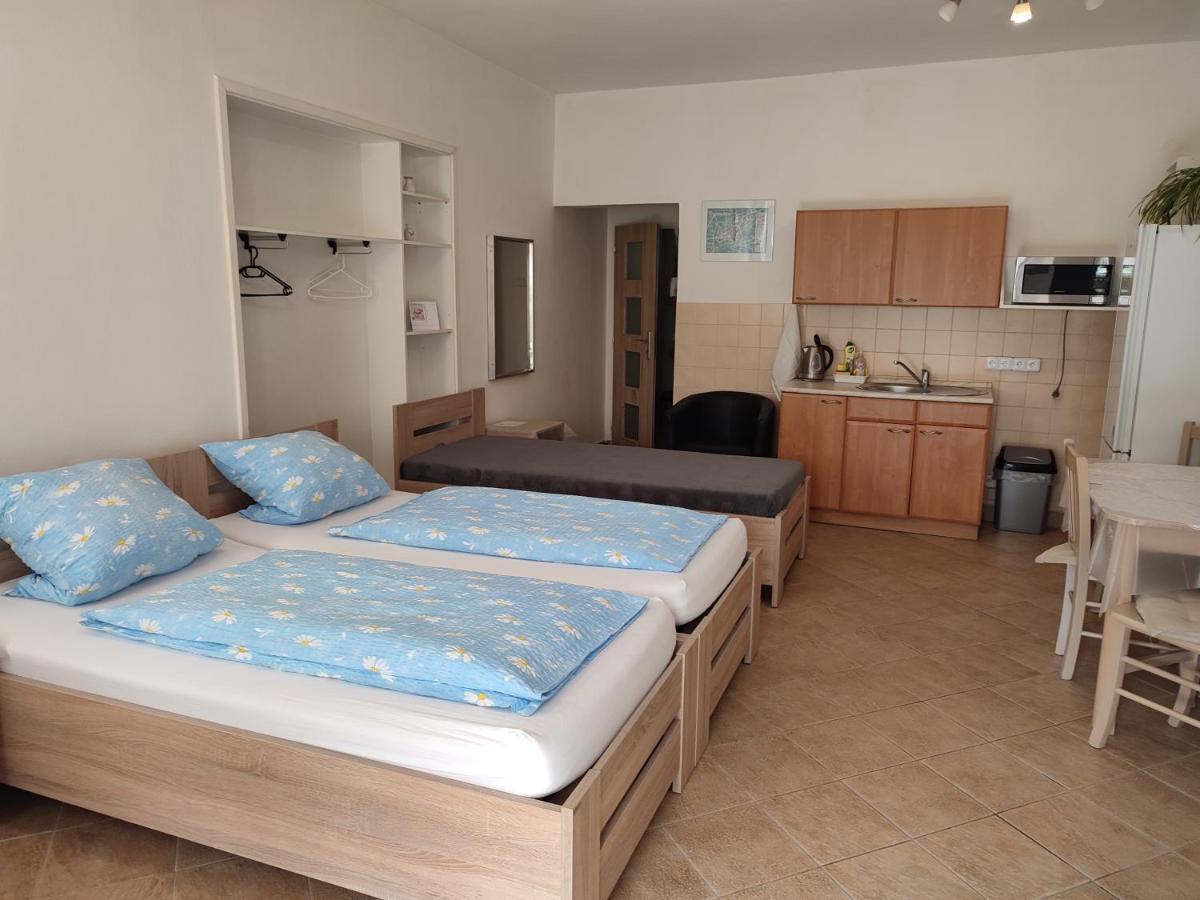 Apartament Pension Dana Karaskova Kutná Hora Zewnętrze zdjęcie