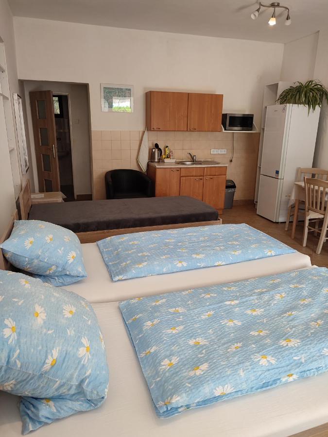 Apartament Pension Dana Karaskova Kutná Hora Zewnętrze zdjęcie