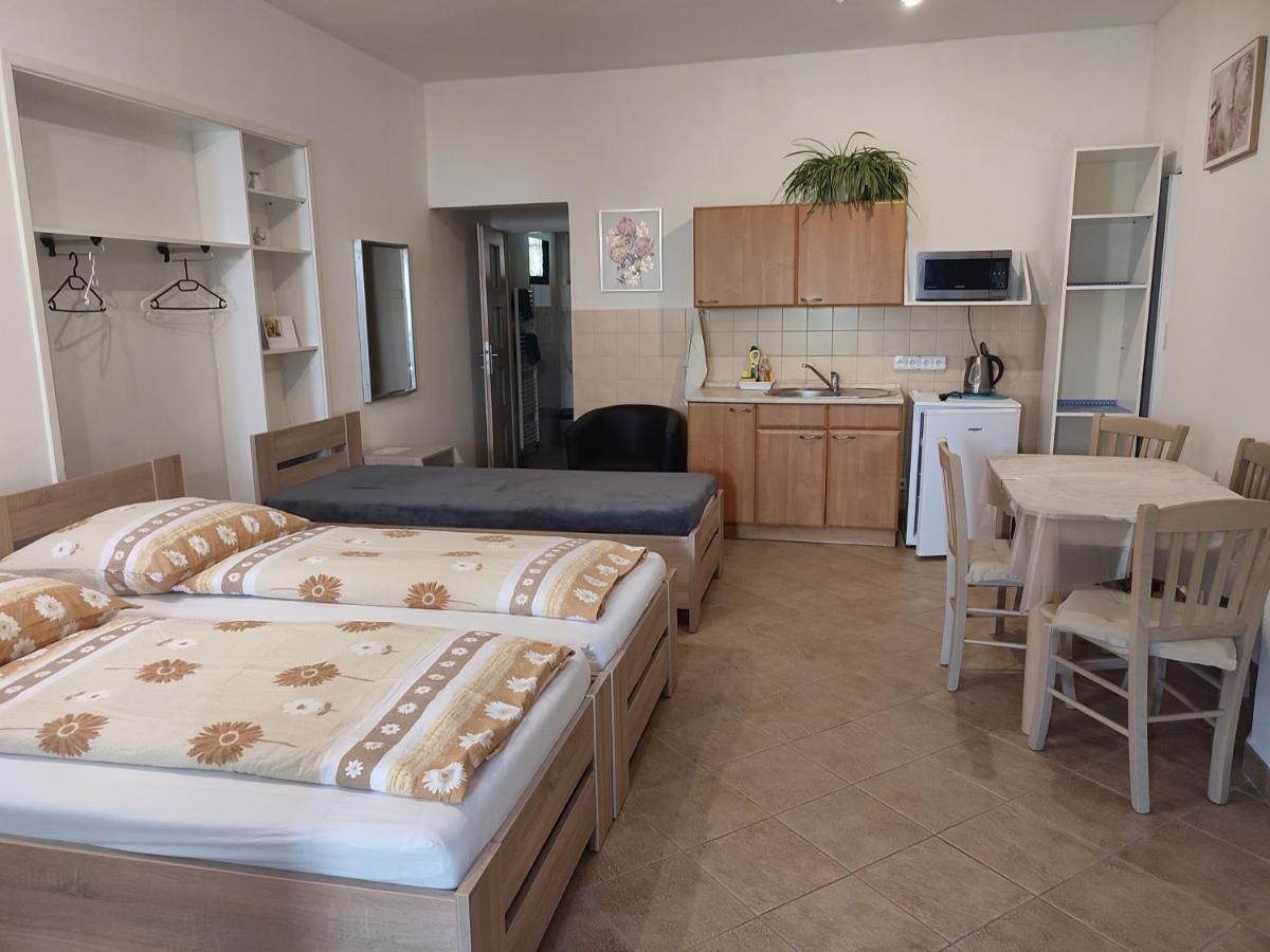 Apartament Pension Dana Karaskova Kutná Hora Zewnętrze zdjęcie