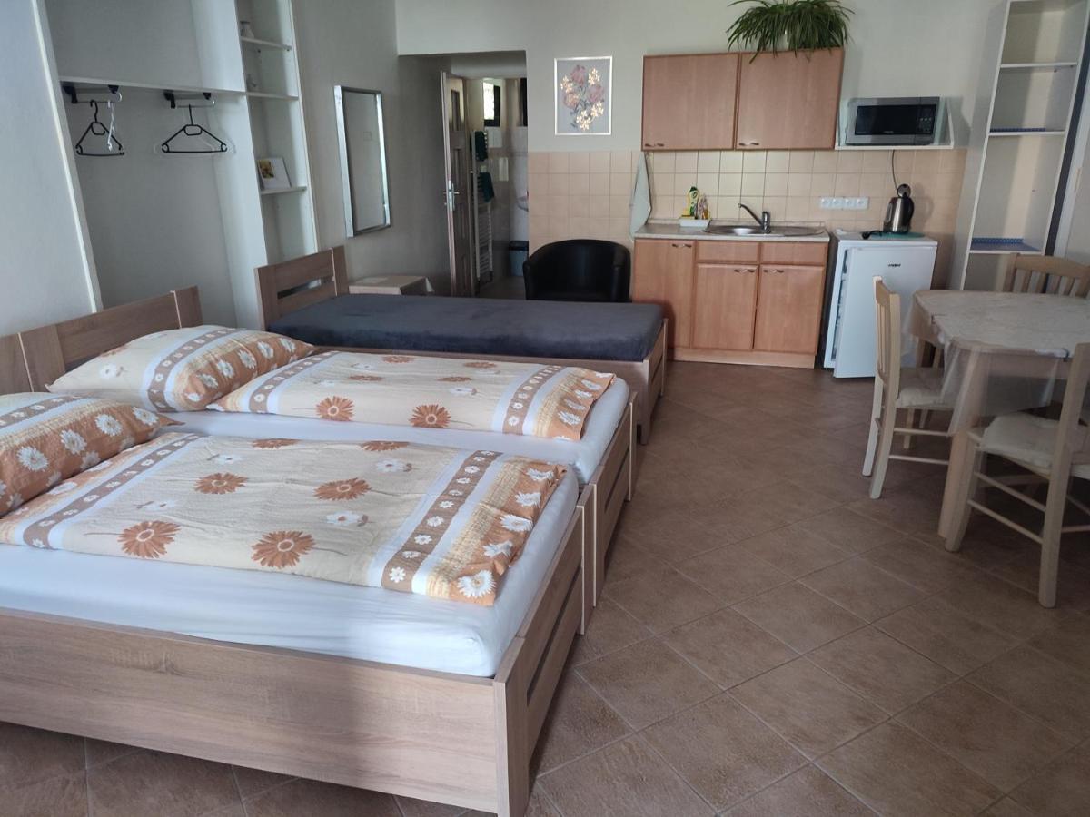 Apartament Pension Dana Karaskova Kutná Hora Zewnętrze zdjęcie