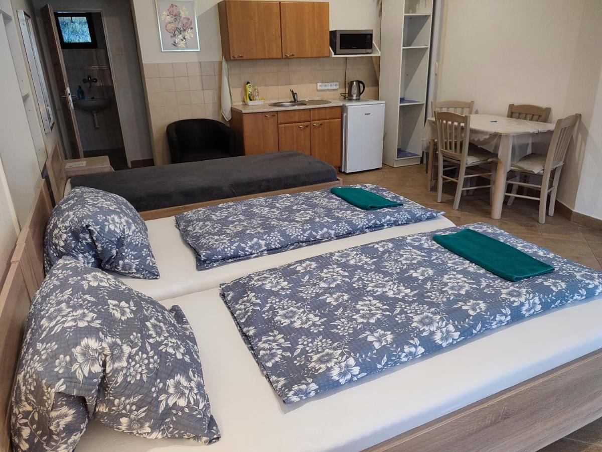 Apartament Pension Dana Karaskova Kutná Hora Zewnętrze zdjęcie