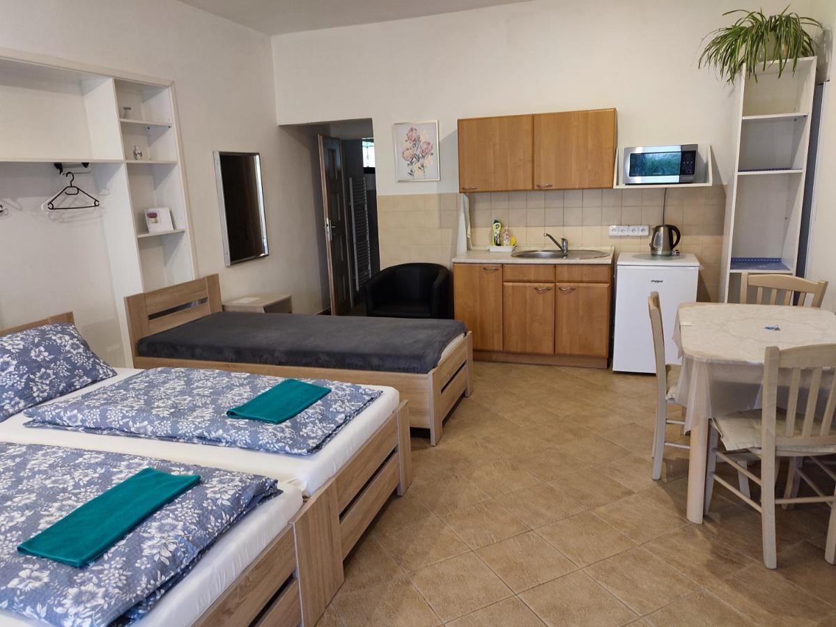 Apartament Pension Dana Karaskova Kutná Hora Zewnętrze zdjęcie