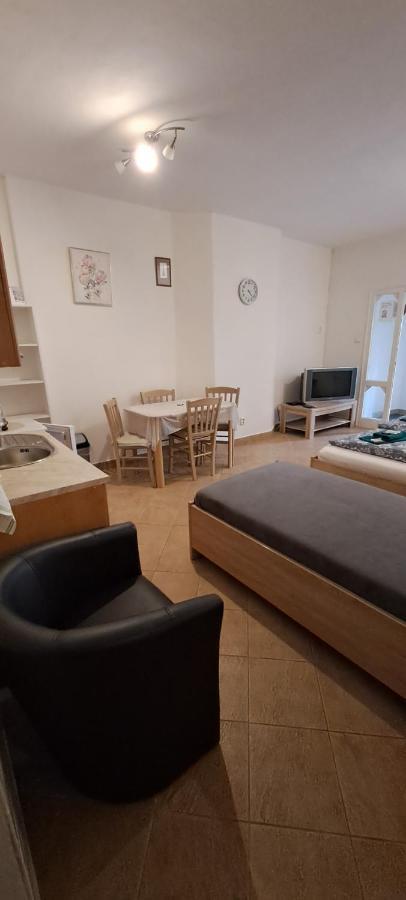 Apartament Pension Dana Karaskova Kutná Hora Zewnętrze zdjęcie