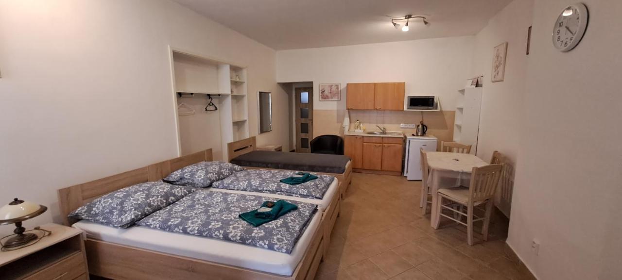 Apartament Pension Dana Karaskova Kutná Hora Zewnętrze zdjęcie