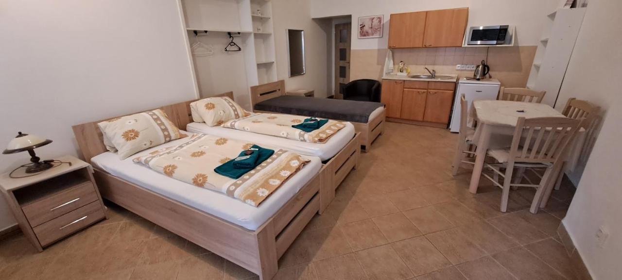 Apartament Pension Dana Karaskova Kutná Hora Zewnętrze zdjęcie