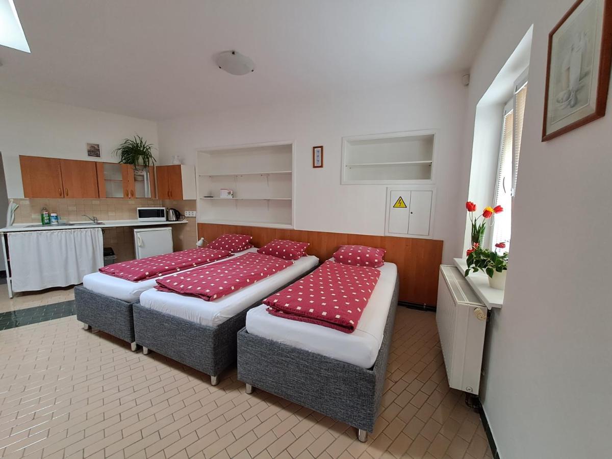 Apartament Pension Dana Karaskova Kutná Hora Zewnętrze zdjęcie