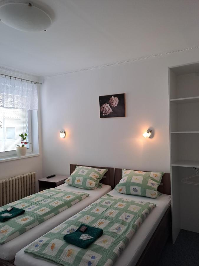 Apartament Pension Dana Karaskova Kutná Hora Zewnętrze zdjęcie