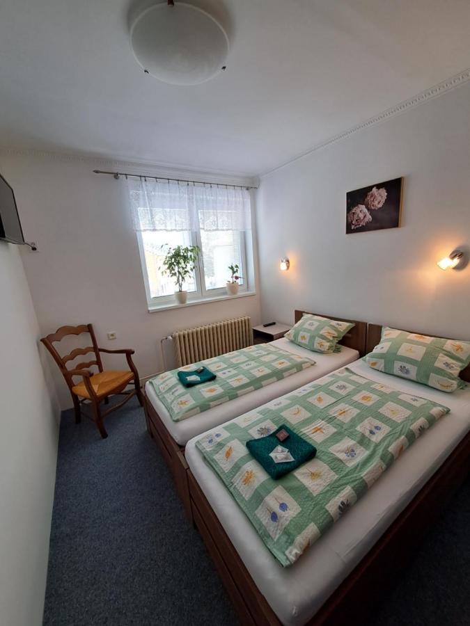 Apartament Pension Dana Karaskova Kutná Hora Zewnętrze zdjęcie