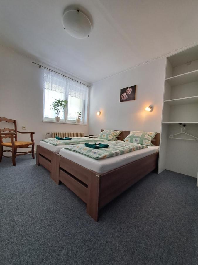 Apartament Pension Dana Karaskova Kutná Hora Zewnętrze zdjęcie