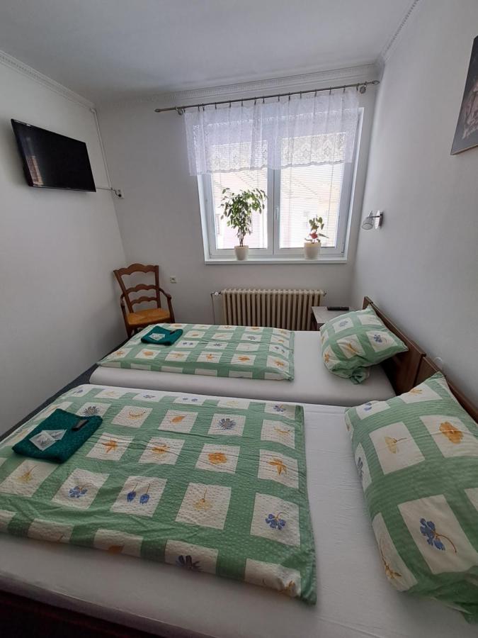 Apartament Pension Dana Karaskova Kutná Hora Zewnętrze zdjęcie