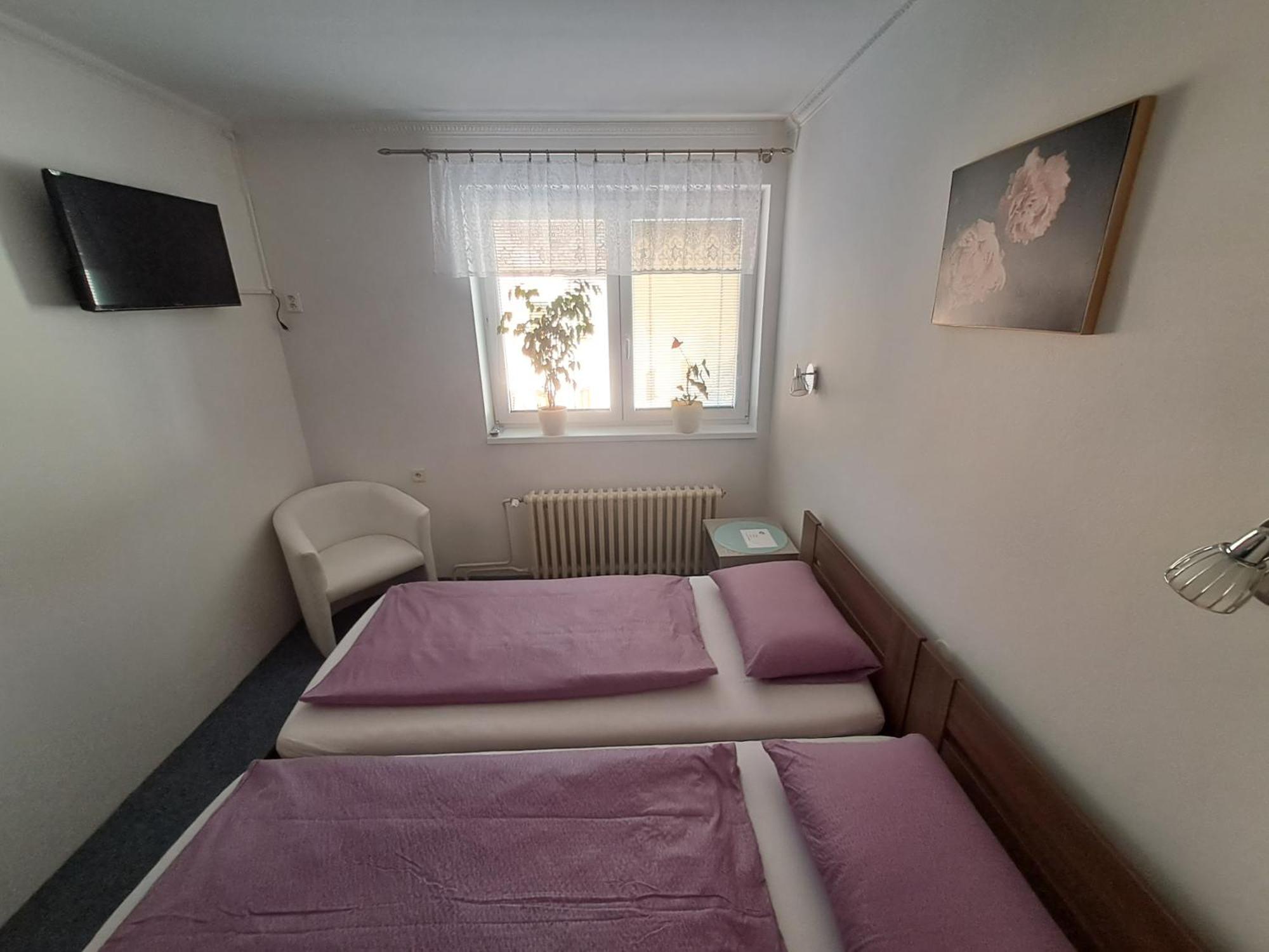 Apartament Pension Dana Karaskova Kutná Hora Zewnętrze zdjęcie