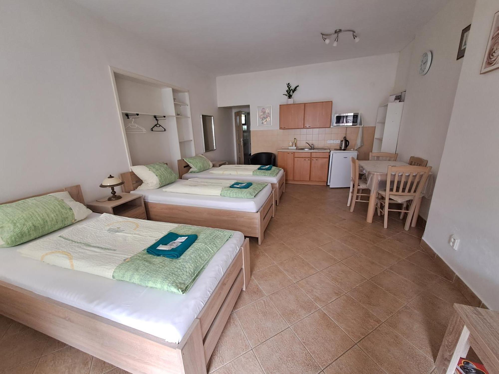 Apartament Pension Dana Karaskova Kutná Hora Zewnętrze zdjęcie